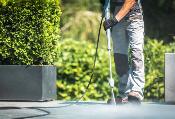 Best Graffiti Removal  in La Mirada, CA