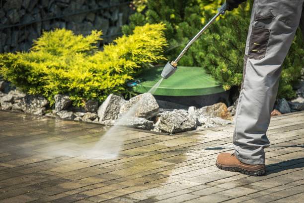 Best Gutter Cleaning  in La Mirada, CA