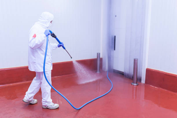 Playground Equipment Cleaning in La Mirada, CA